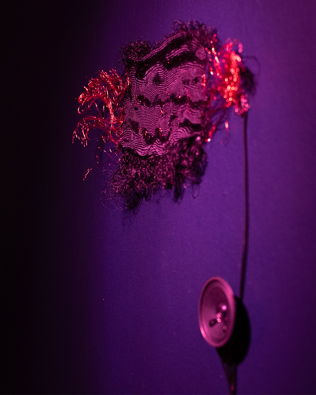 Registro: Valentina Jara