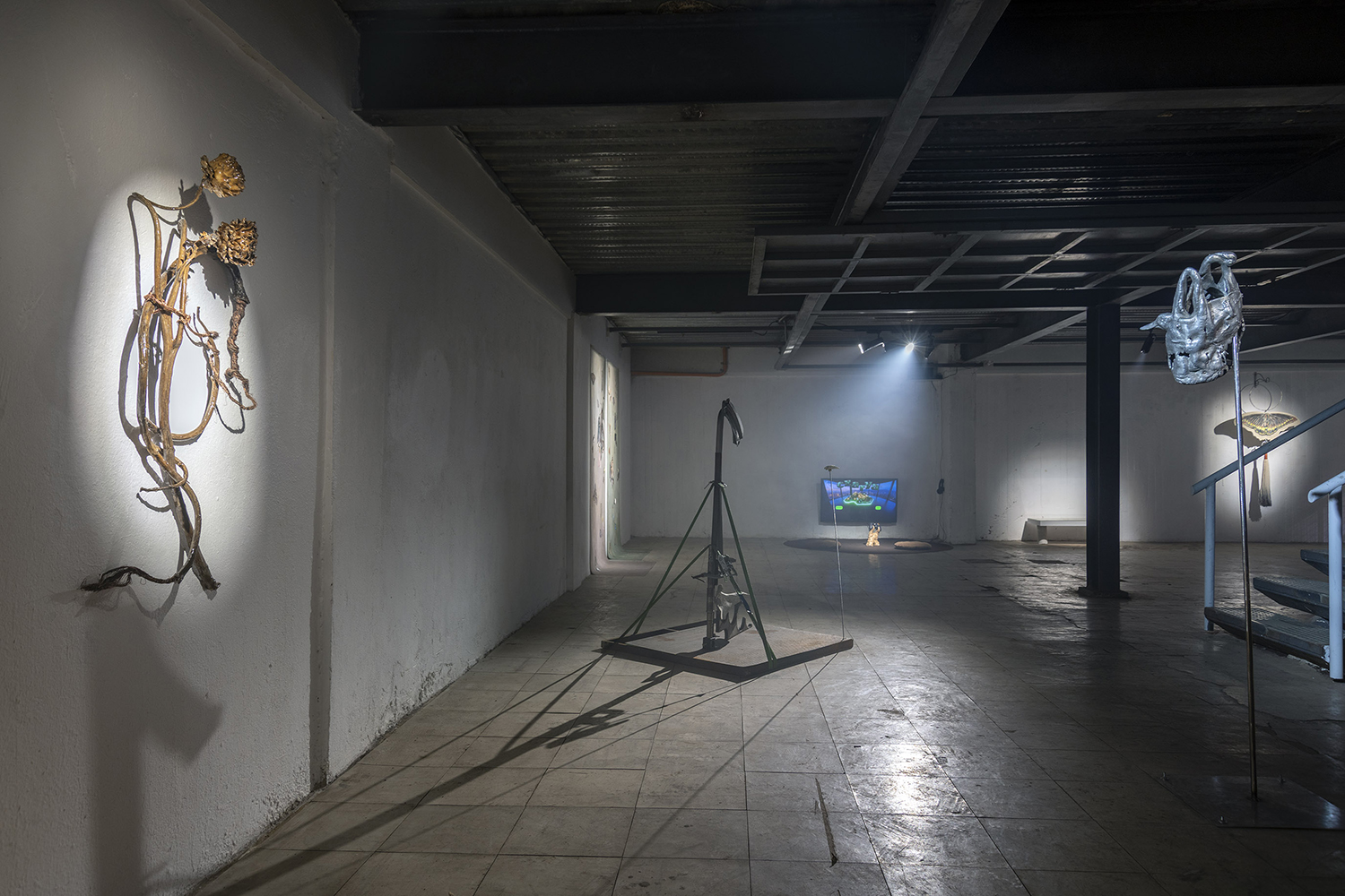 Registro: Jorge Brantmayer