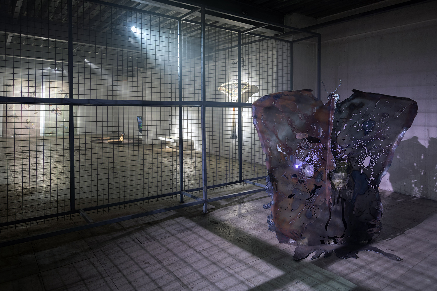 Registro: Jorge Brantmayer