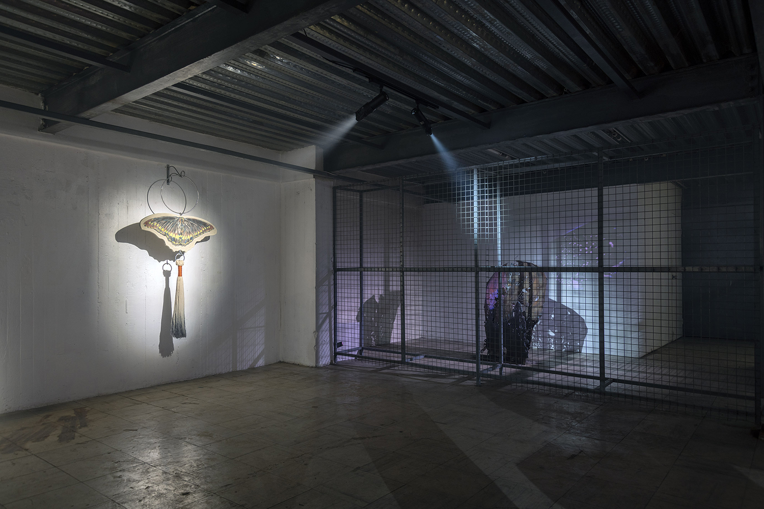 Registro: Jorge Brantmayer