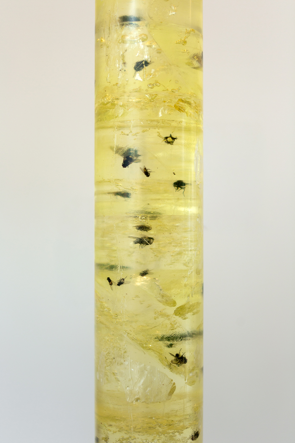 REGISTRO: FELIPE UGALDE