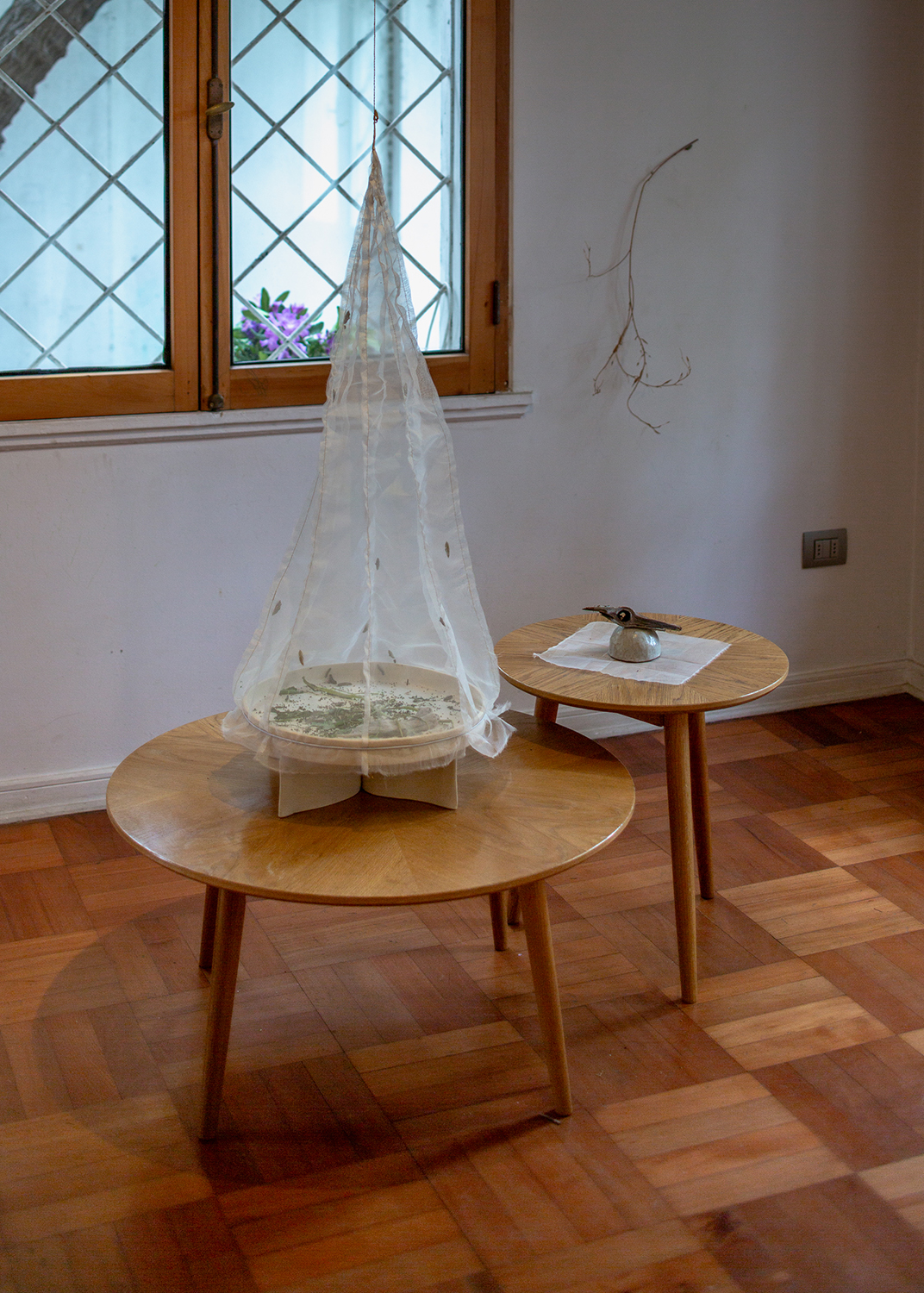 REGISTRO: FELIPE UGALDE