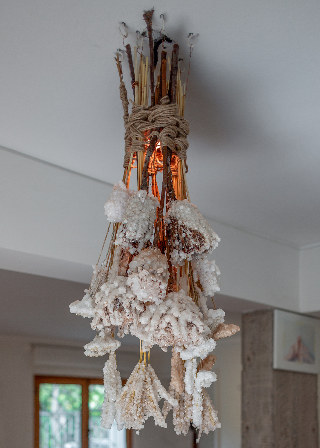 REGISTRO: FELIPE UGALDE