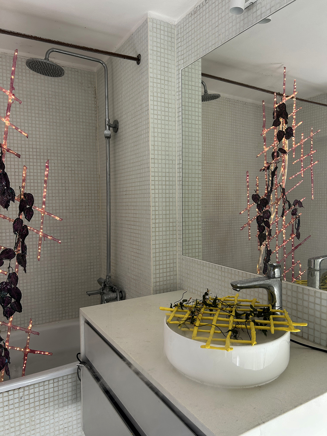 REGISTRO: FELIPE UGALDE