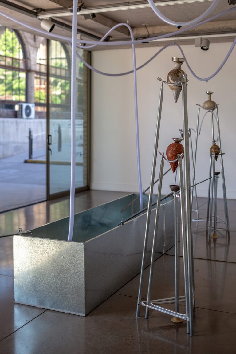 Registro: Felipe Ugalde