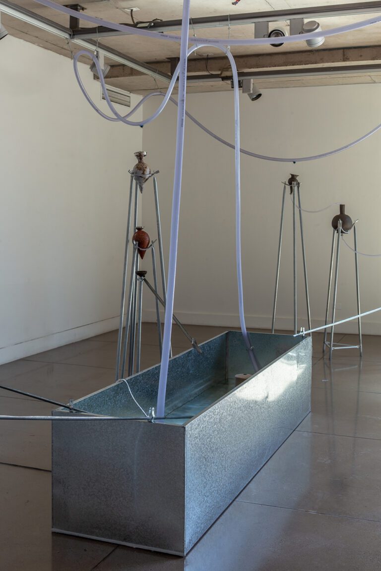 Registro: Felipe Ugalde