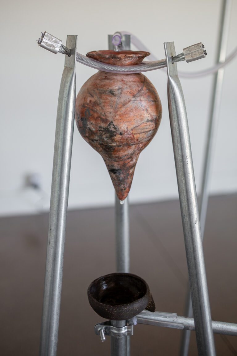 Registro: Felipe Ugalde