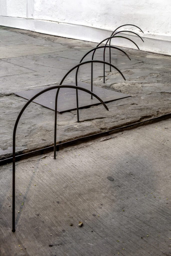 Registro: Felipe Ugalde