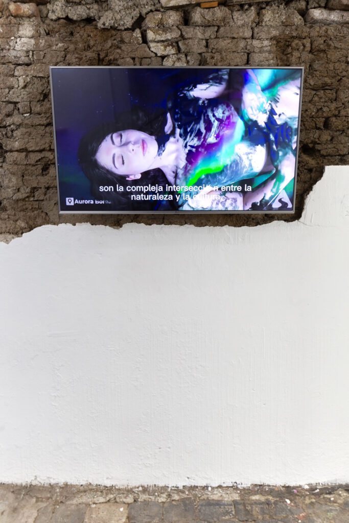 Registro: Felipe Ugalde