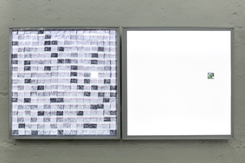 Registro: Felipe Ugalde