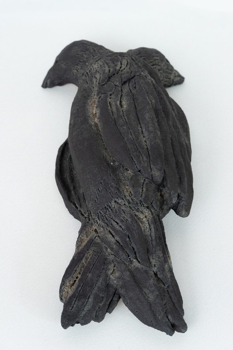 cordua2