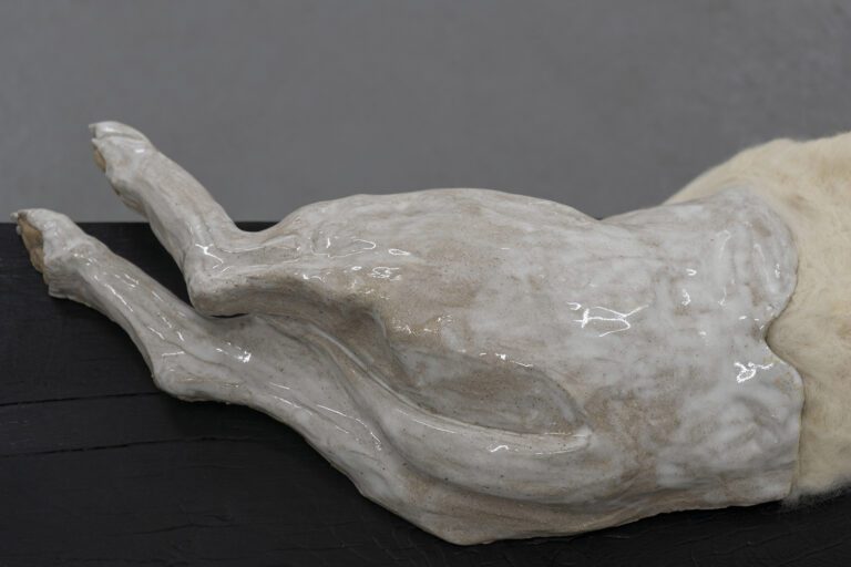 cordua9